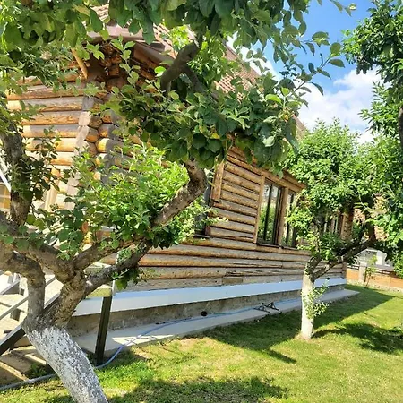 Casa Ardeleana Guest house *